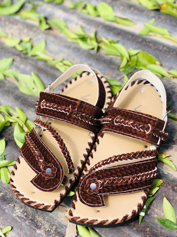 Zhobari Brown Balochi (Male)