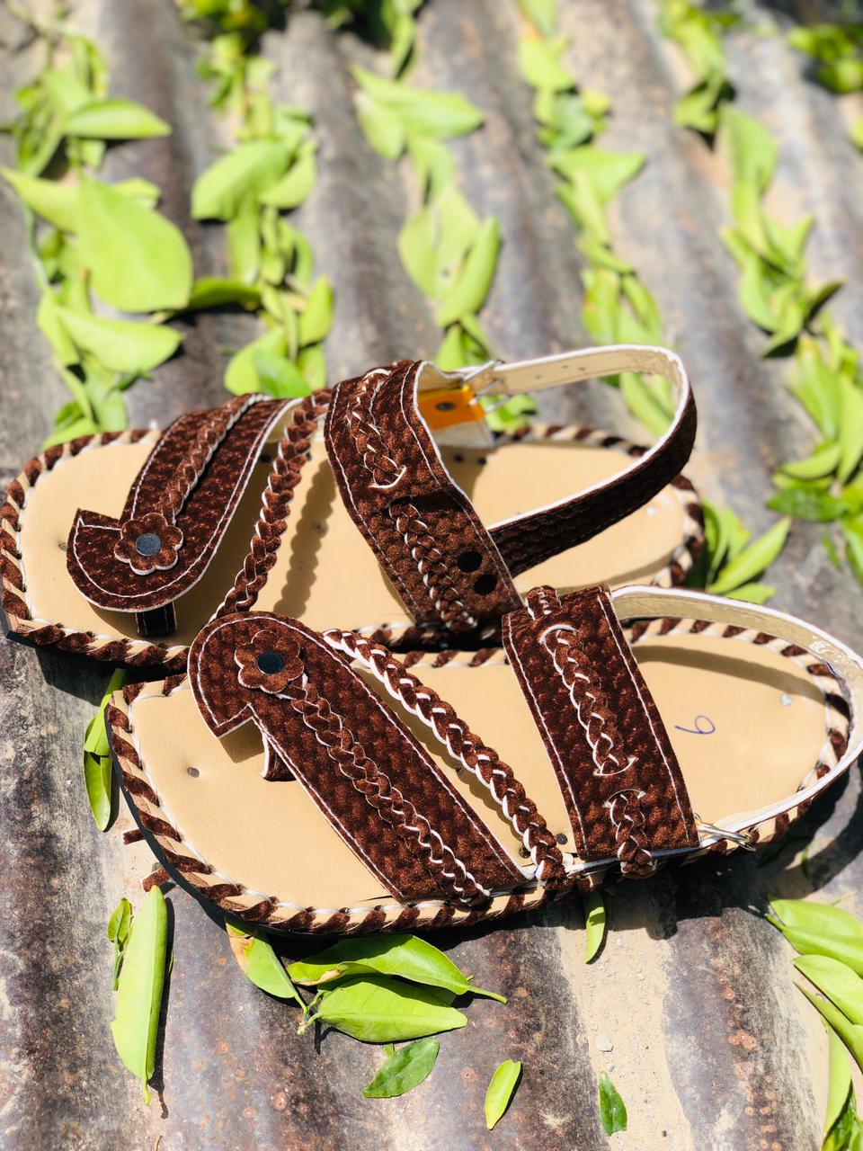 Zhobari Brown Balochi (Male)